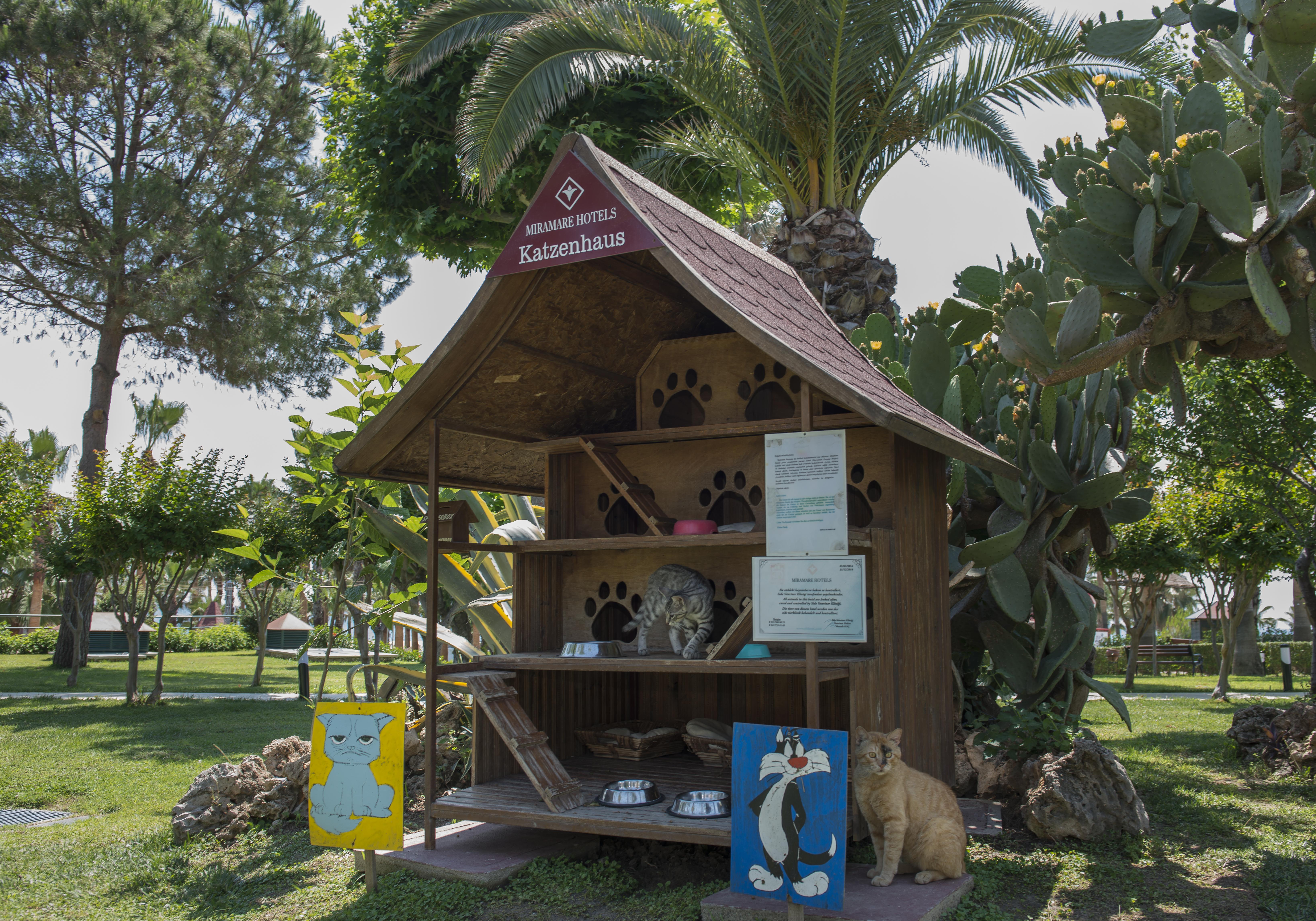 סייד Miramare Beach Hotel מראה חיצוני תמונה